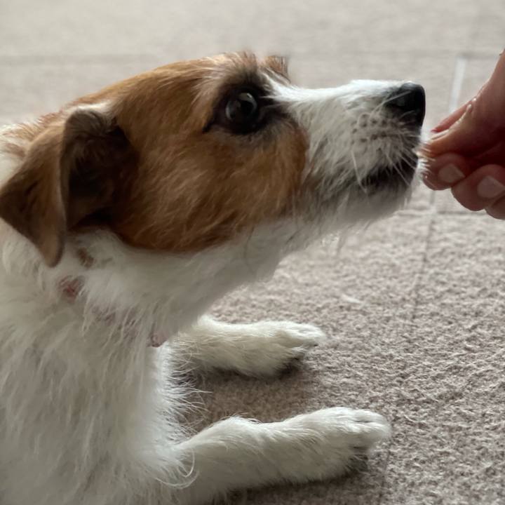 63a3f3ab 924a 4eee aee5 eab397b1e6c5 1620310266613