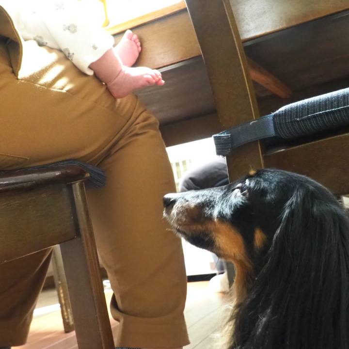 63a40ec8 77a6 490c 8d84 5c798baaf91b 1679127970389