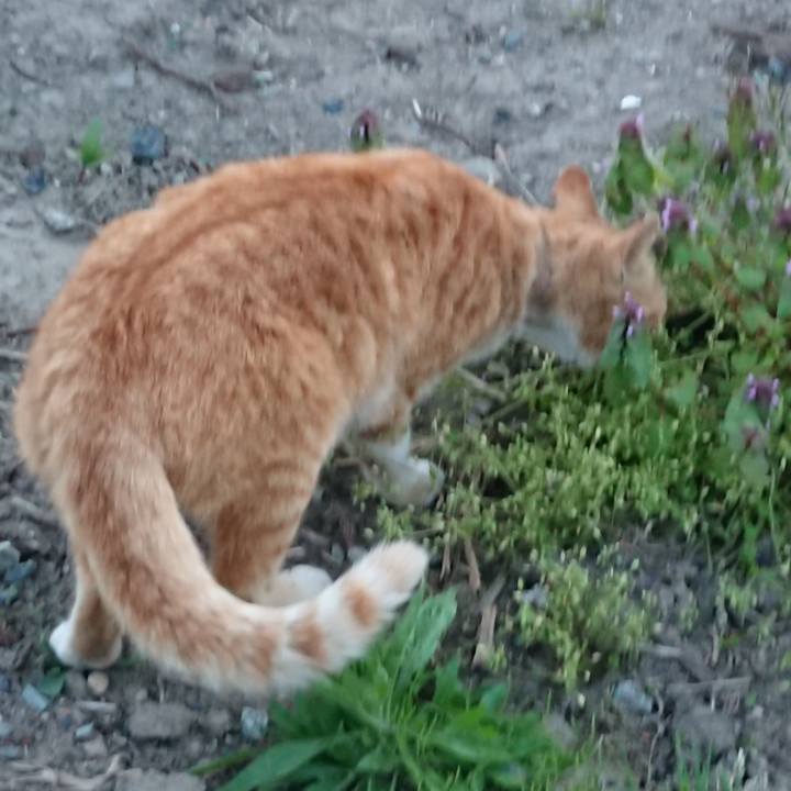 63a42a07 ab25 4a17 97d1 05b491937b94 1557481408482