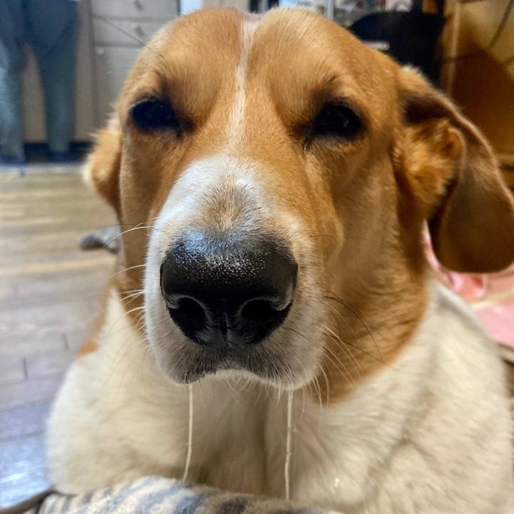 63a42ab3 6627 4cab a7b3 b760ce8002c5 1699918078757