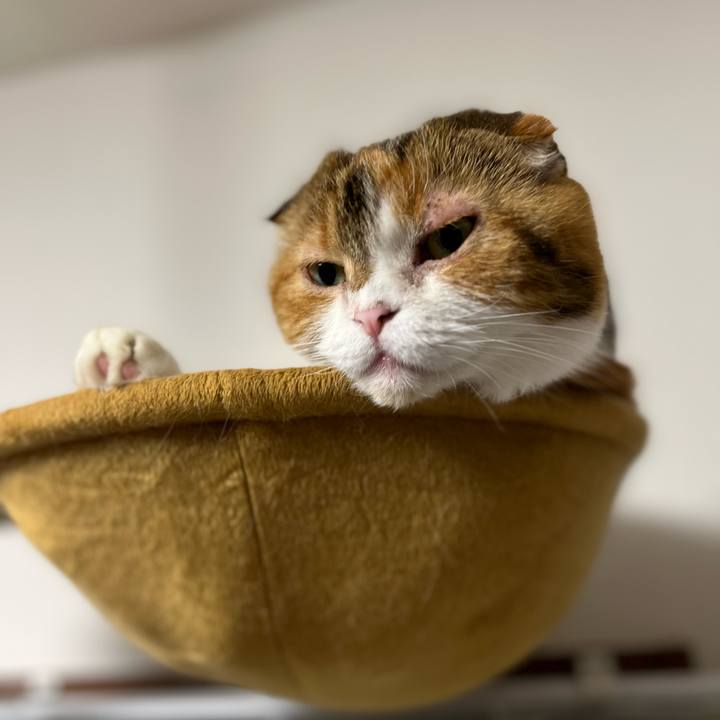 63a43667 f170 459b 823c 65e4a4f73710 1727966281768