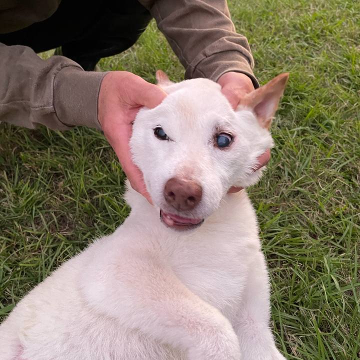 63a47cd7 dce7 4929 a9a9 7abfcb8d6117 1665571916025