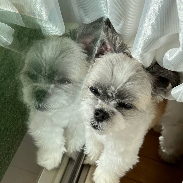 63a4973b 7b96 4282 9543 6880c34f2336 1672798532288