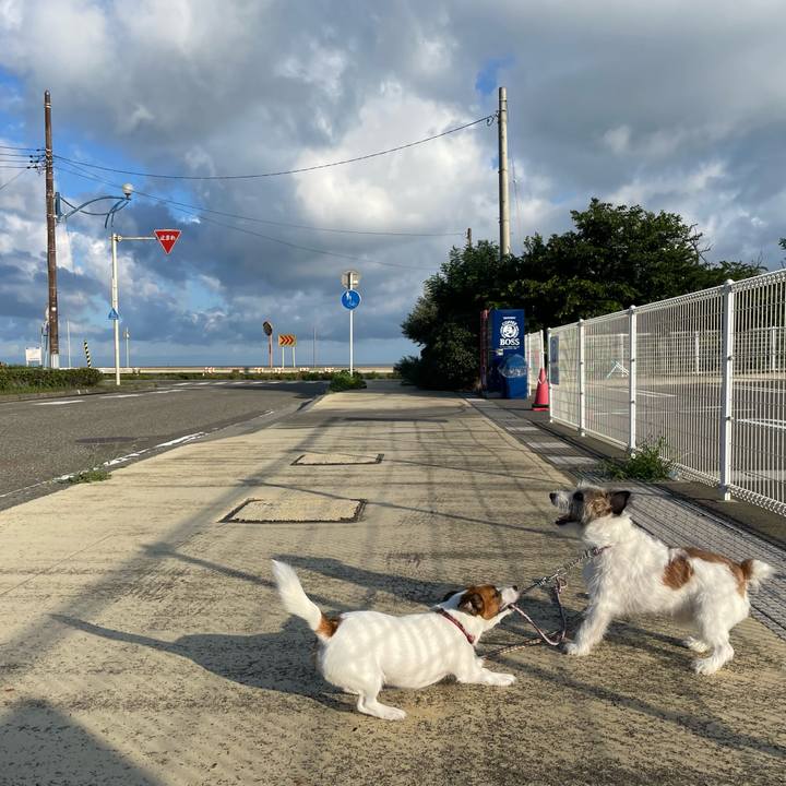 63a4d9fd acfc 40bd ac65 2a8c07834aff 1660862734628