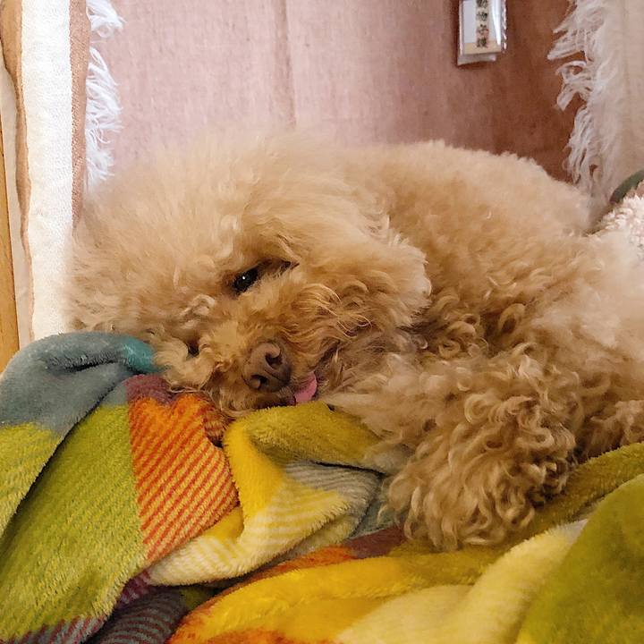 63a4e6e2 6098 4b45 bae4 a1c7e98f21df 1554953183550