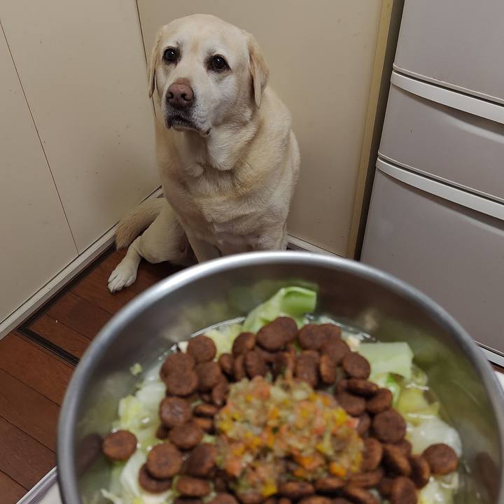 63a4efd2 5c36 432b 86d2 11353902d069 1766714534120