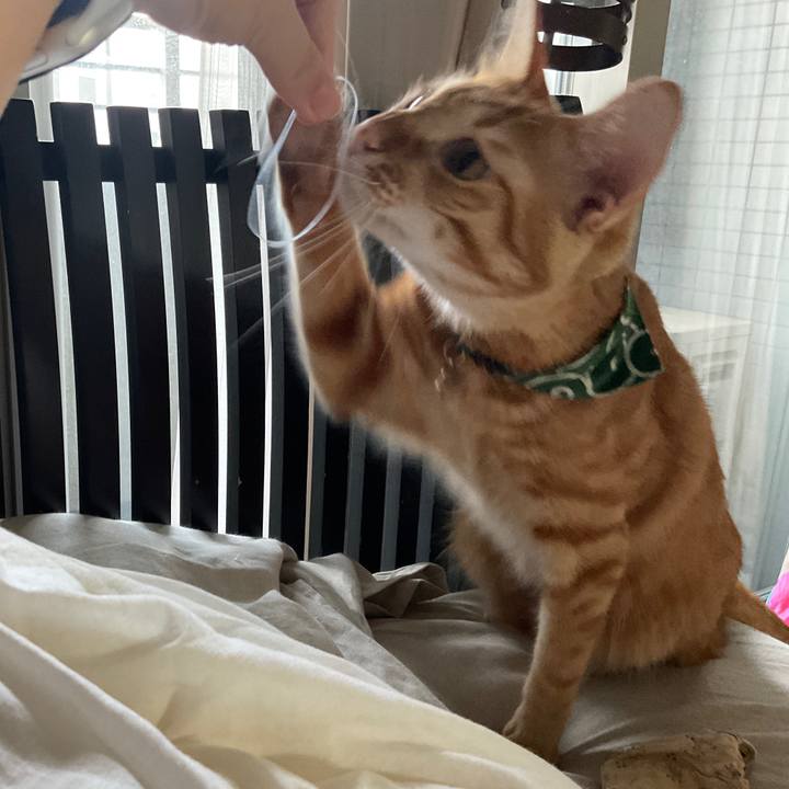 63a4ffed e779 4718 91e8 2bceb7685905 1630812452631