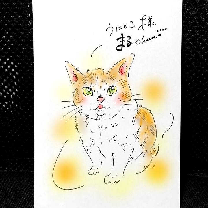 63a51005 d244 43c3 b2e6 dd53e6abd78b 1567689399084