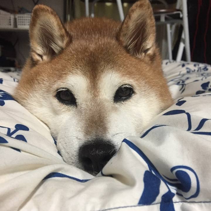 63a54b2b 0c87 4eaf b8a3 d087882a09a3 1539865308562