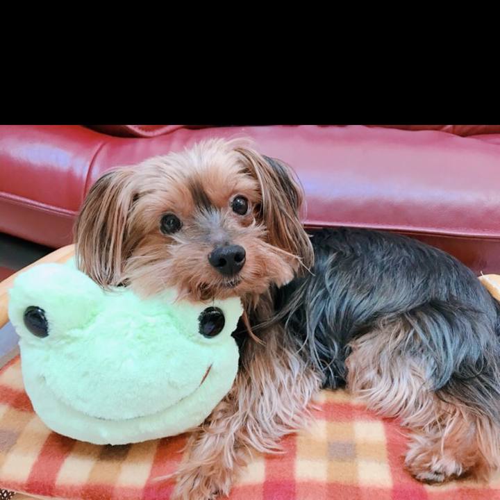 63a5975a 9836 4ebb 81cd faa3b3f9b38c 1535428978492