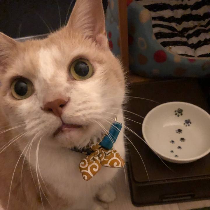 63a5ea51 2519 4dc2 8ac8 cef4d0149e99 1604309086168