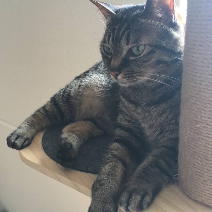 63a5fd3f 2289 4fe3 a6f6 d3430e917441 1589156885900