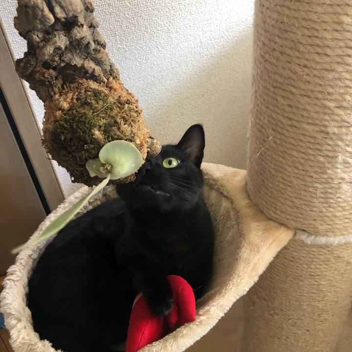 63a61acc a115 4579 bfa2 cb46873fcdcd 1636248988104