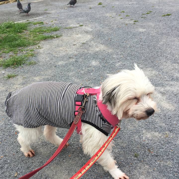 63a63aa9 7b85 477c bb8b abca28ebf401 1521087730919