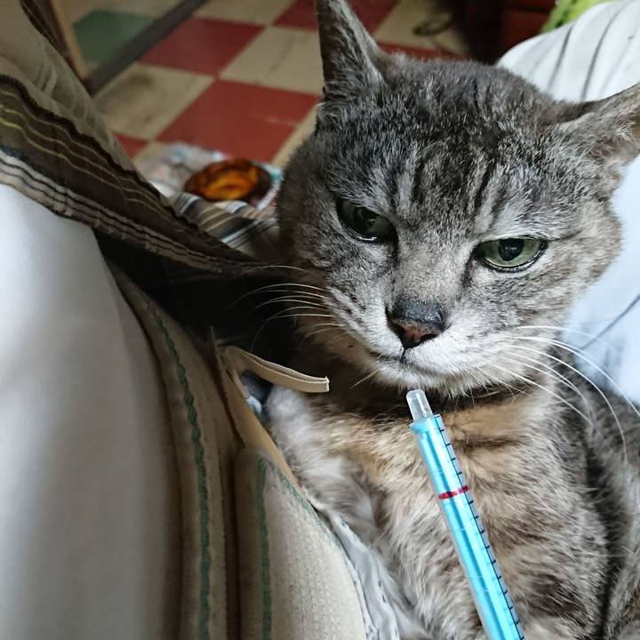 63a64cc3 1c35 4f73 82b7 04f6bbe3133e 1591044827156