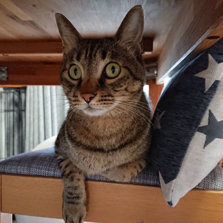 63a67462 3e6d 4b99 b0e2 224aa35c90c8 1568419510694