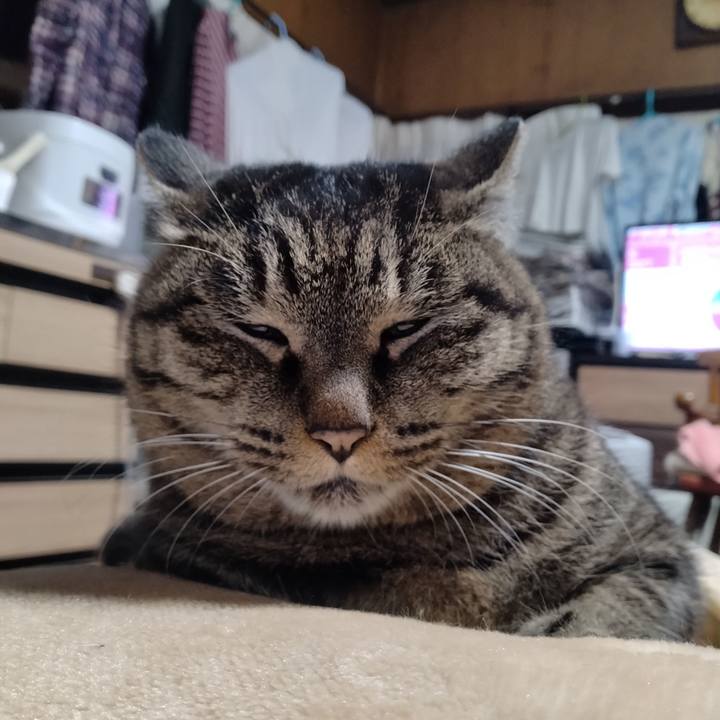 63a6a312 24b6 43cc b616 697e108f597f 1705881413550