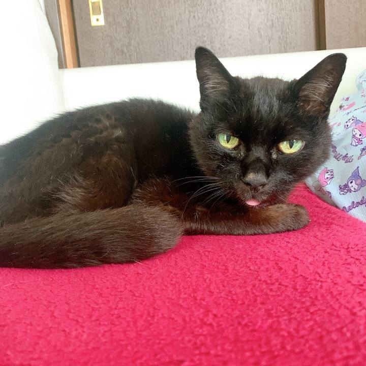 63a6b663 5f07 4349 8ab1 679e55fb6c33 1664080336527