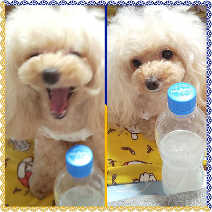 63a6c3c1 86a1 414f aef4 25f47bb638ca 1628047694295