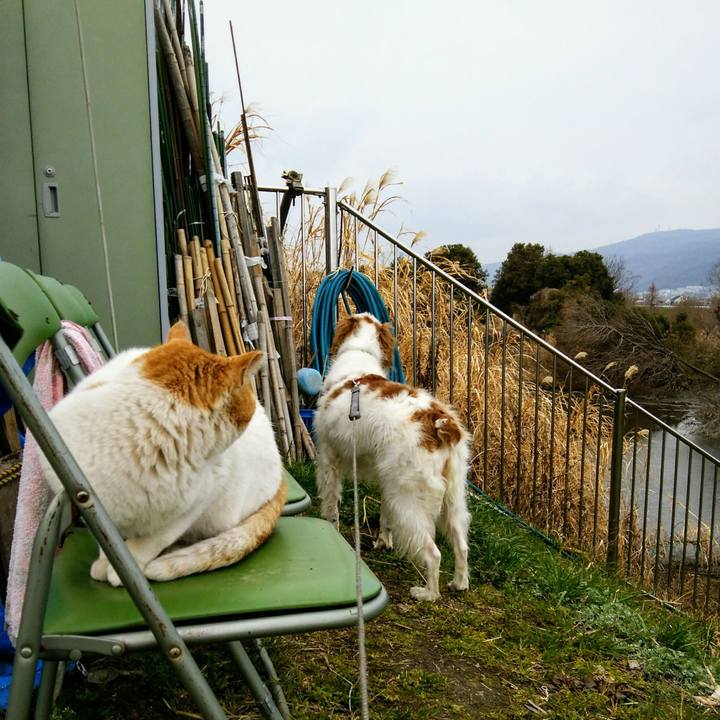 63a6ee16 58e4 4ff6 82a2 eb90598a46a6 1551948586042