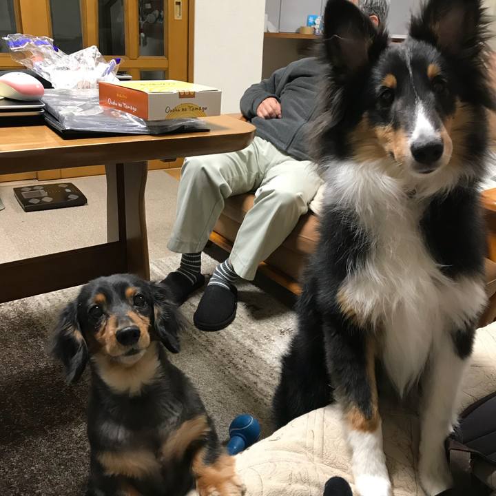 63a7649f fb01 499b 89df da65b8eb7f61 1519076902945