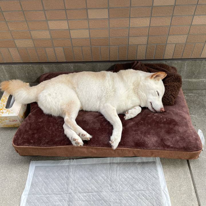 63a764d6 02eb 42f5 ba36 bc02620b7610 1635840301098