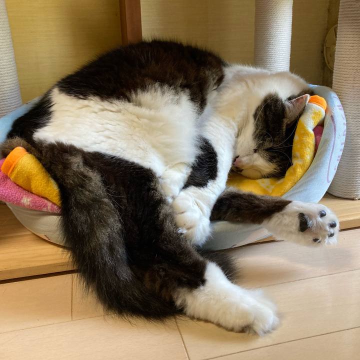 63a7817e b169 4af5 8bb3 d5f9a3a4e8da 1714291636094