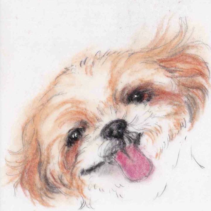 63a78fff 3199 4363 b290 e00157148020 1659791921306