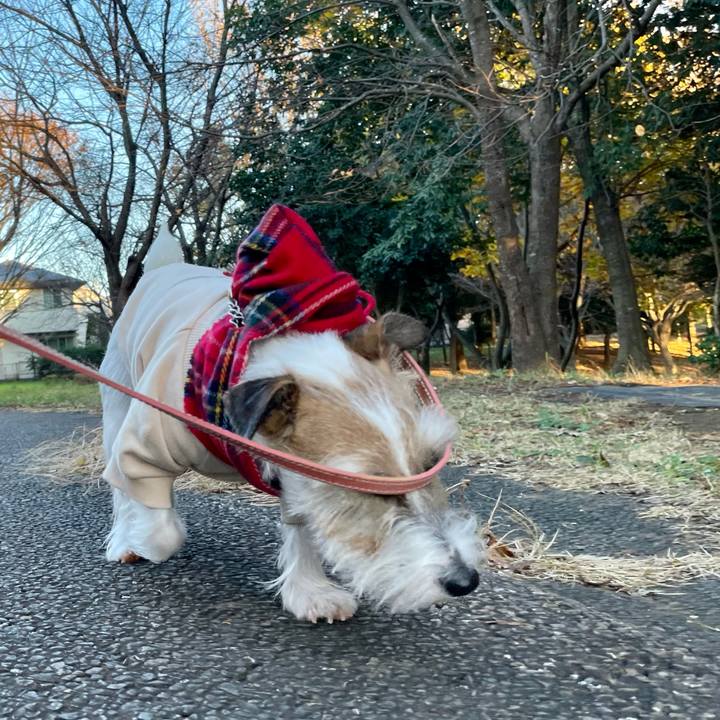 63a795d7 03d2 4a83 85a8 af975e3ccae4 1638434574011