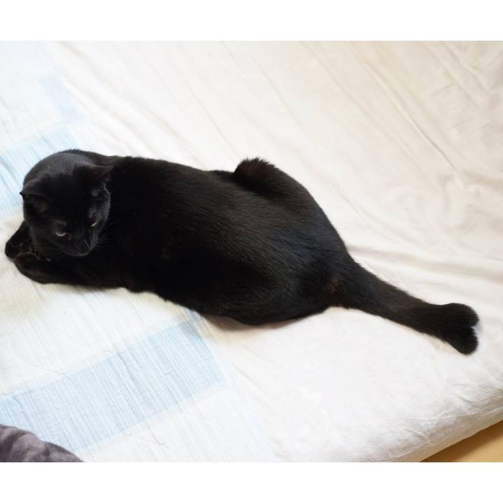 63a7a247 3b85 424a ac0b f94acfda2c98 1557358828557