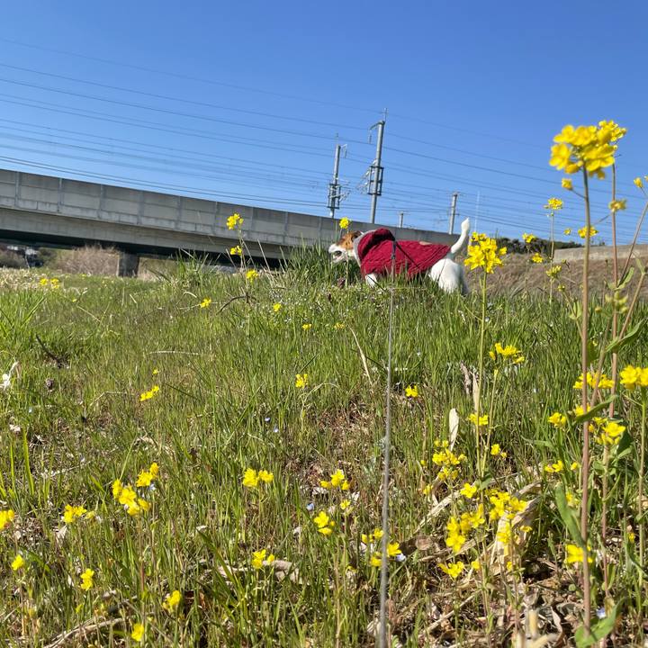 63a7e40c 5eb1 4319 96a2 bfb8dad3518c 1649414922972