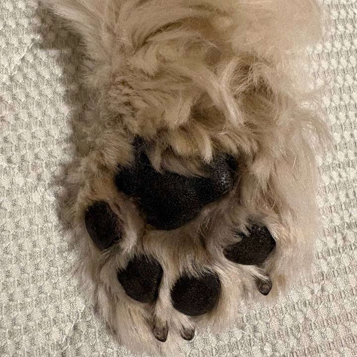 63a7e6a9 71d7 463b 8c35 ba728424f0d2 1769042395274