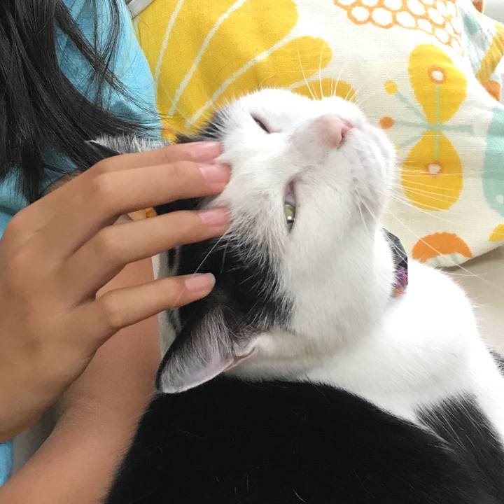 63a853b8 afdf 4202 af2f 2a0a07b56555 1532235345601