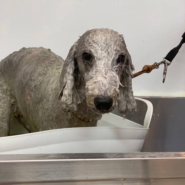 63a85455 658b 44d7 a14e c704ef344c67 1650178172953