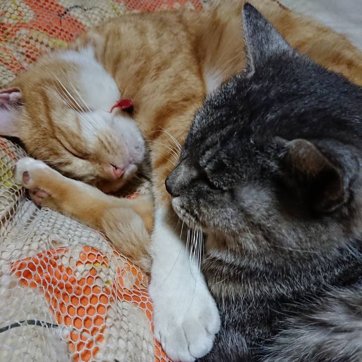 63a89975 4b56 4029 97f6 5a273347d009 1573648634194