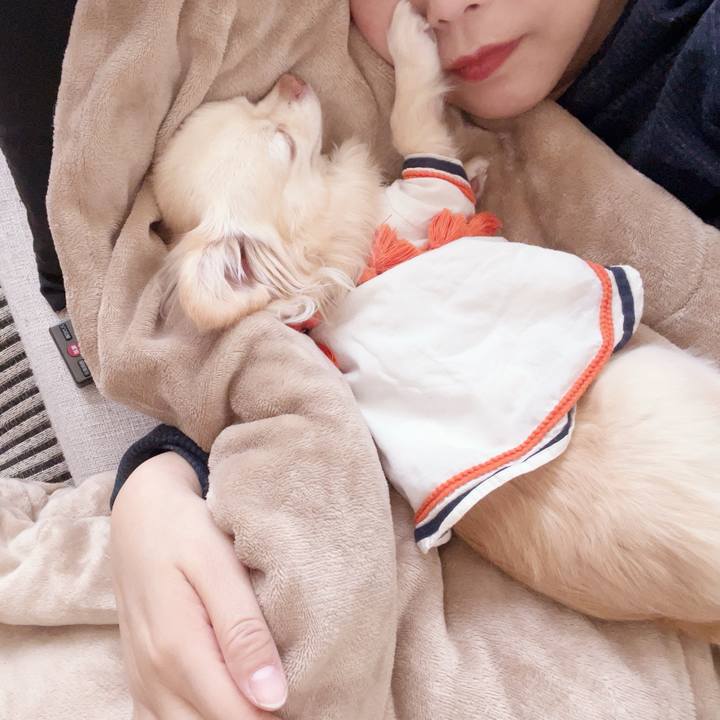 63a8d118 d6c4 4570 9564 4e3c0337aa48 1744190169858