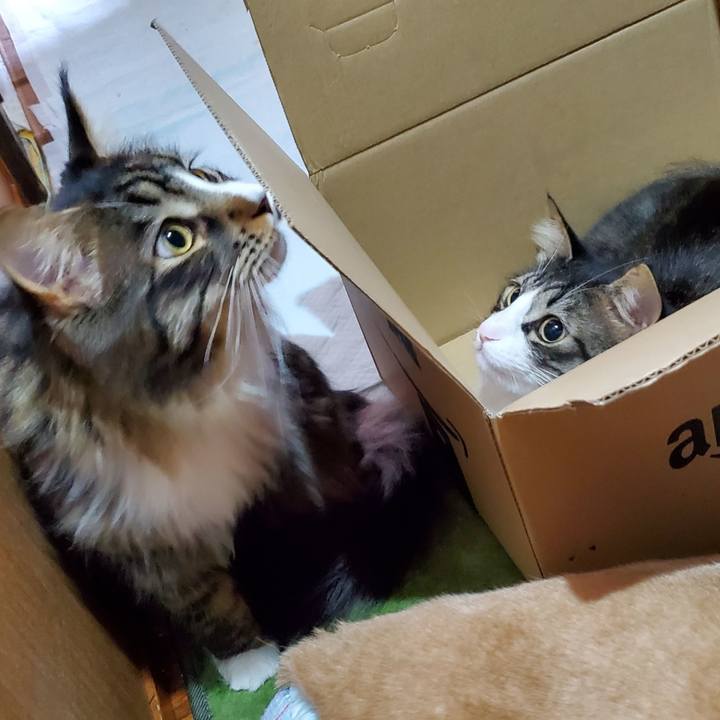 63a8f64e 0bc9 4ca1 8694 f2ccbe9510ca 1681971198532