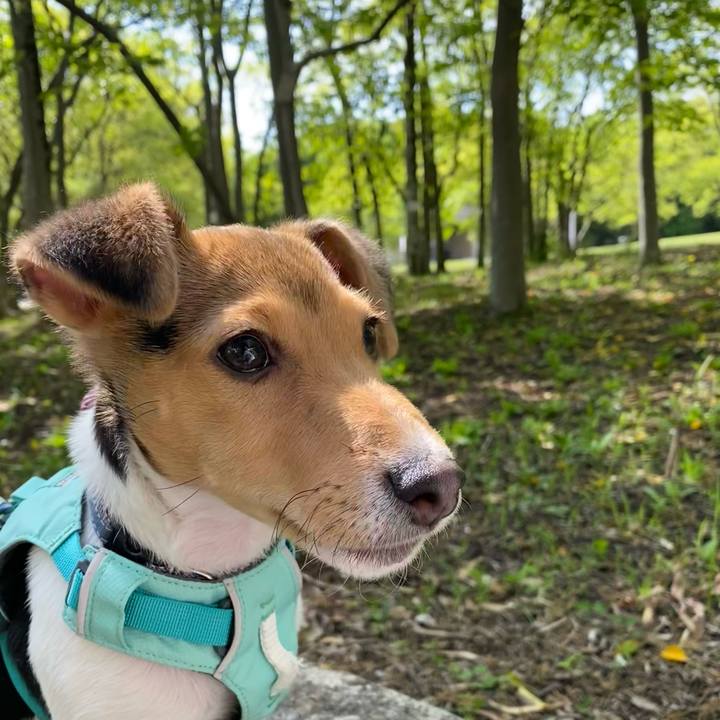 63a972e6 2da3 4e06 bb8e b1e390acd0dc 1745741685380