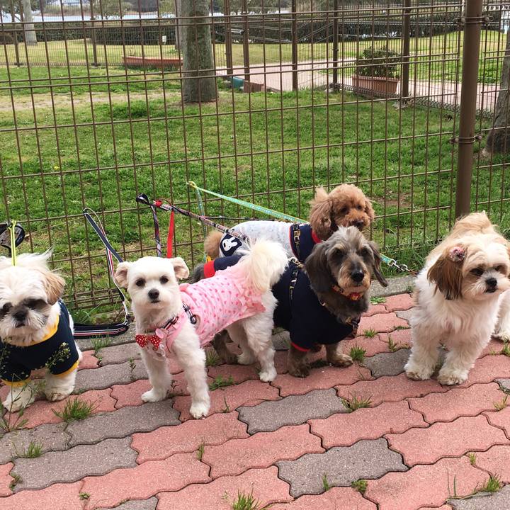 63a978b4 d2b4 4937 80e4 91df4e159163 1521886561853