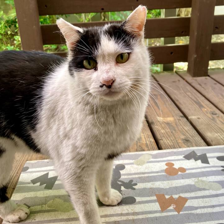 63a9af67 36cf 49d4 a800 3ebc1737df9e 1775982200804