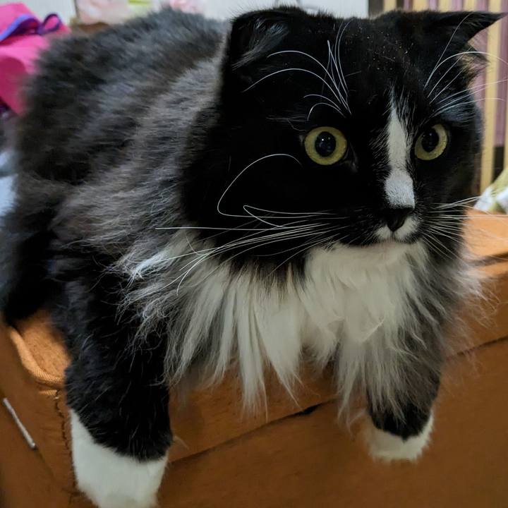 63a9cffc 1780 4e08 a681 3ed19b5d1f23 1677755071897