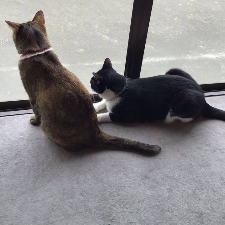 63a9de09 5f6d 43fa bf13 7eed30c0c613 1655717182735