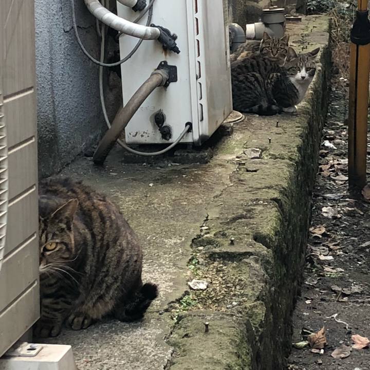 63a9f1a7 172c 4733 8159 6688be35d38f 1519127352903