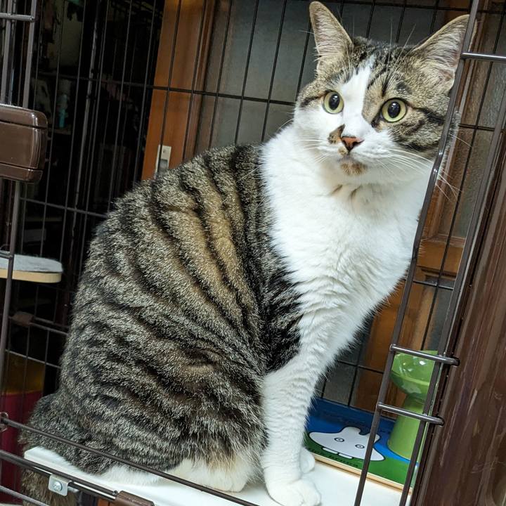 63aa2da8 aa57 4461 8db5 0d3b1ae142b1 1717499602180