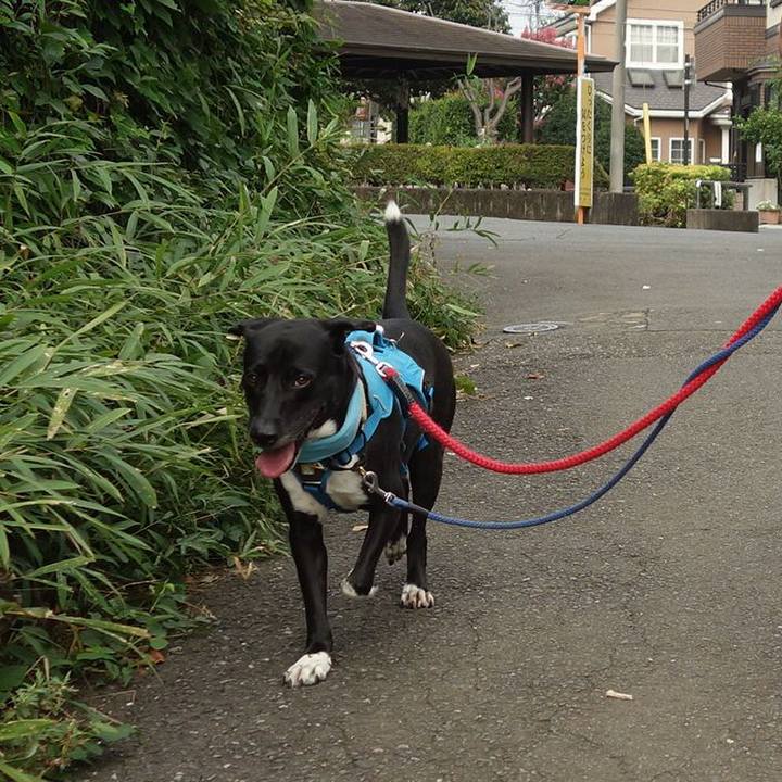 63aa5844 ece4 49b5 a392 8f8e1fa0ee52 1630110155523