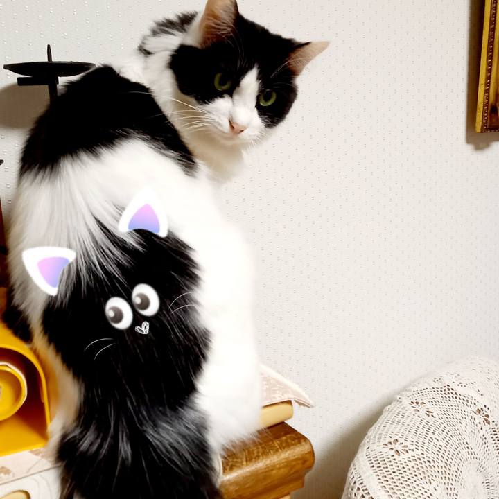 63aa6d14 c040 4385 bd21 a795073453f3 1605951814530