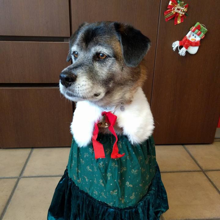 63aab119 4eab 4e65 8941 6491ecfb45d8 1577227988152