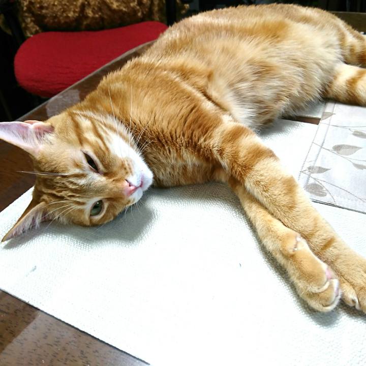 63aab553 65d0 4e1d b314 6b58ca426de7 1521555215666