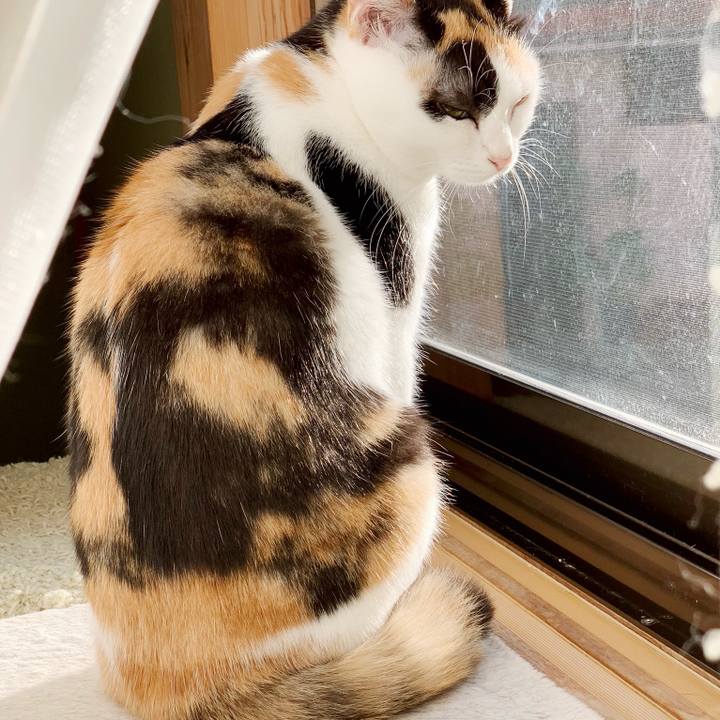 63aad08c 4f25 4a42 ab02 a923893f84cc 1541990467334