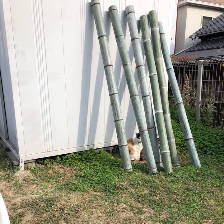 63aadf84 9110 42b6 815f 505fee763c28 1608723721174